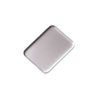 RUSTIDERA 30X21X5,5 CM INOX 18% 59095 INOXIBAR